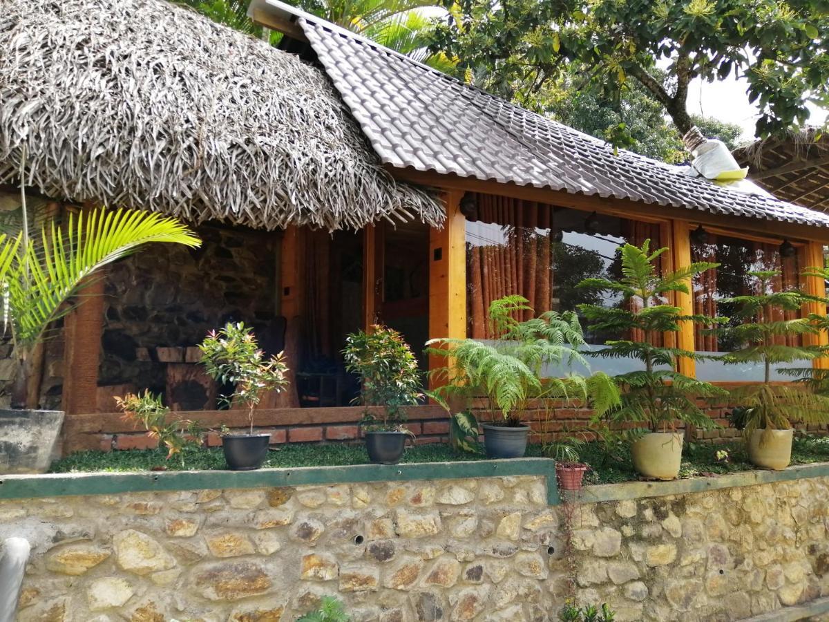 Mc Queen Homestay เอลลา ภายนอก รูปภาพ